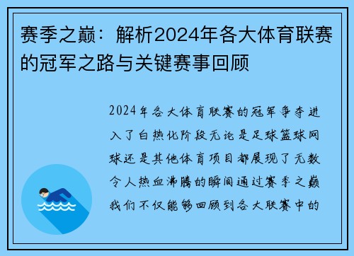 赛季之巅：解析2024年各大体育联赛的冠军之路与关键赛事回顾